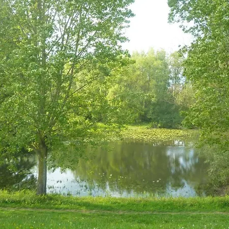 Bed & Breakfast De Slaapmus Boven-Leeuwen